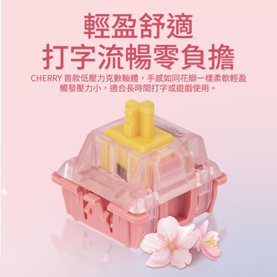 CHERRY MX2A 櫻花軸罐 CHERRY MX2A 櫻花軸罐
