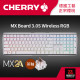 CHERRY MX3.0S無線 MX2A RGB白