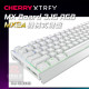 CHERRY MX3.1S RGB MX2A 白