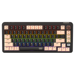 Cherry 無線三模 PIXIU RGB MX2A 金箍棒