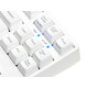 FILCO Majestouch 2 HAKUA Tenkeyless