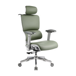 irocks T07EVO 鼠尾草綠