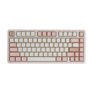Varmilo Minilo 75 HE 姬秋麗/經典黑 環諾漢白玉磁軸