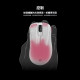 ZOWIE EC1-DW 4K 白色 ZOWIE EC1-DW 4K 白色